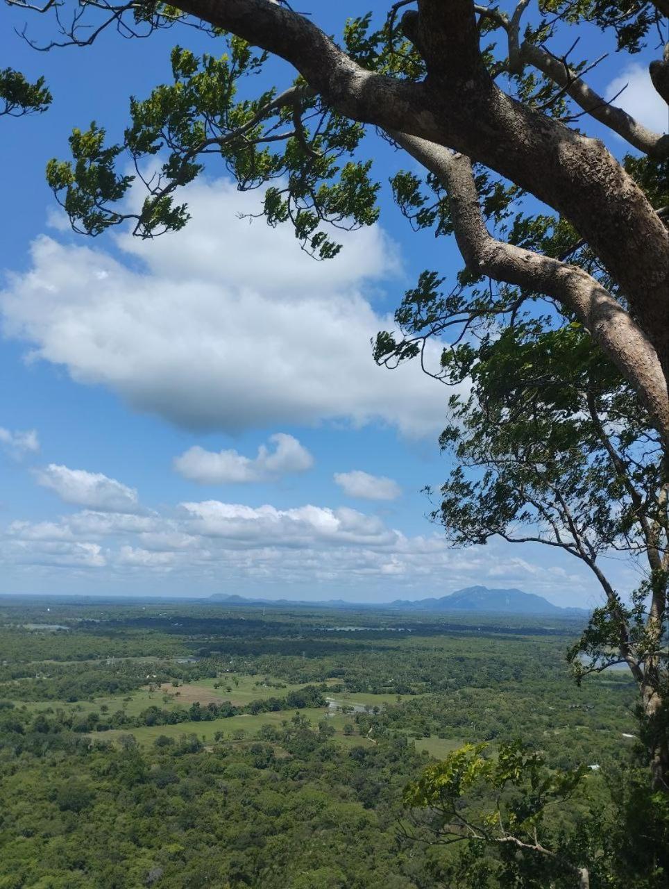 Sigiri Thilanka Rest Sigiriya Hotell Eksteriør bilde